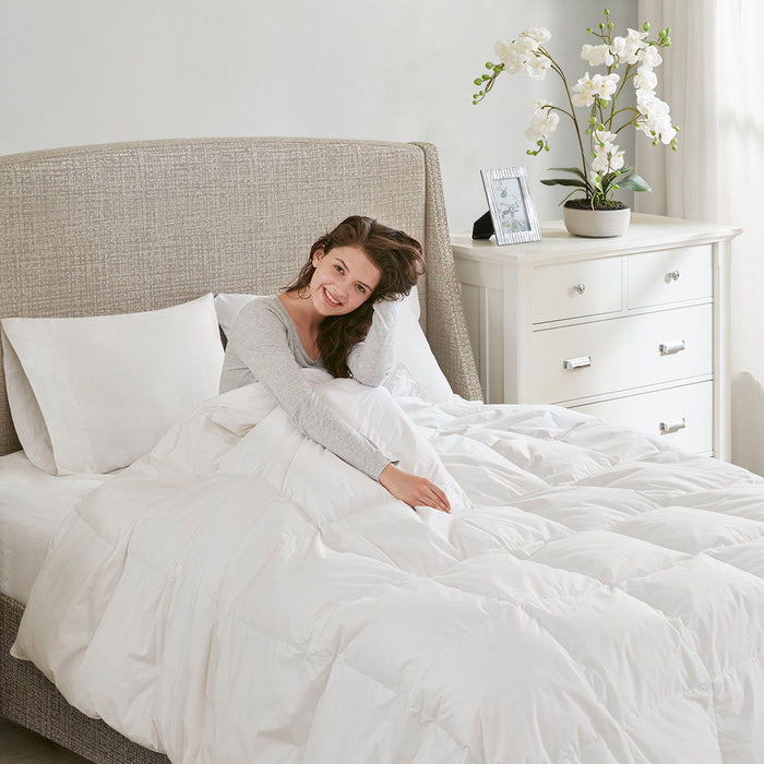 Oversized 100% Cotton Down Comforter In White