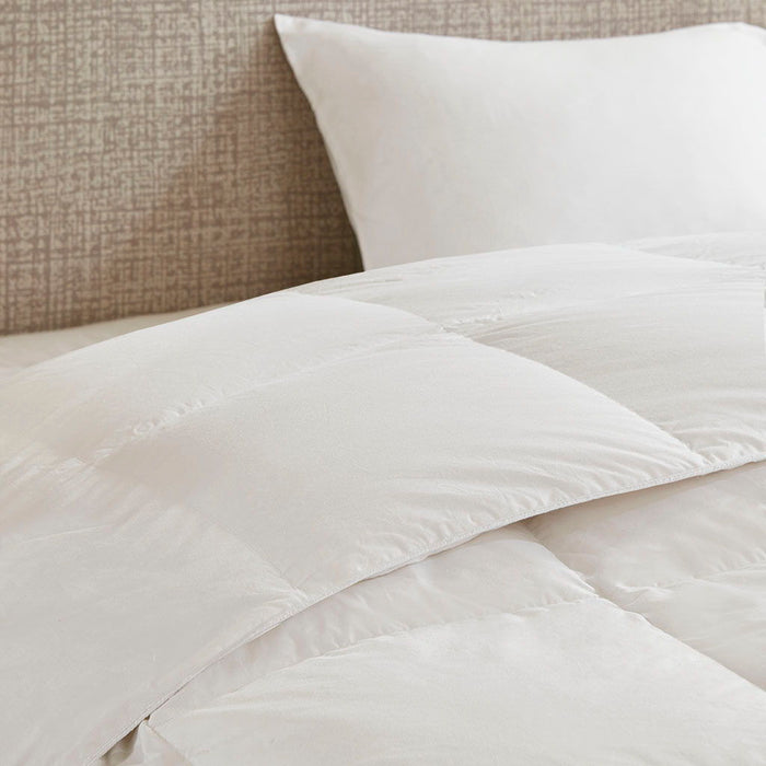 Oversized 100% Cotton Down Comforter - White