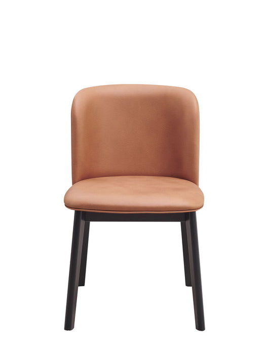 Acme Eliora Side Chair (Set of 2) Camel Fabric & Black Finish