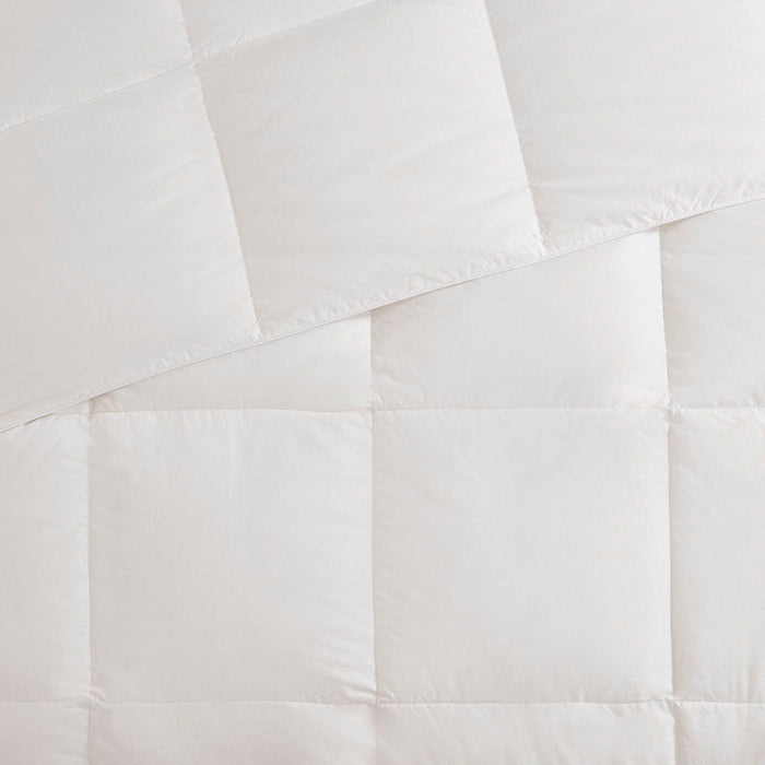 Oversized 100% Cotton Down Comforter In White
