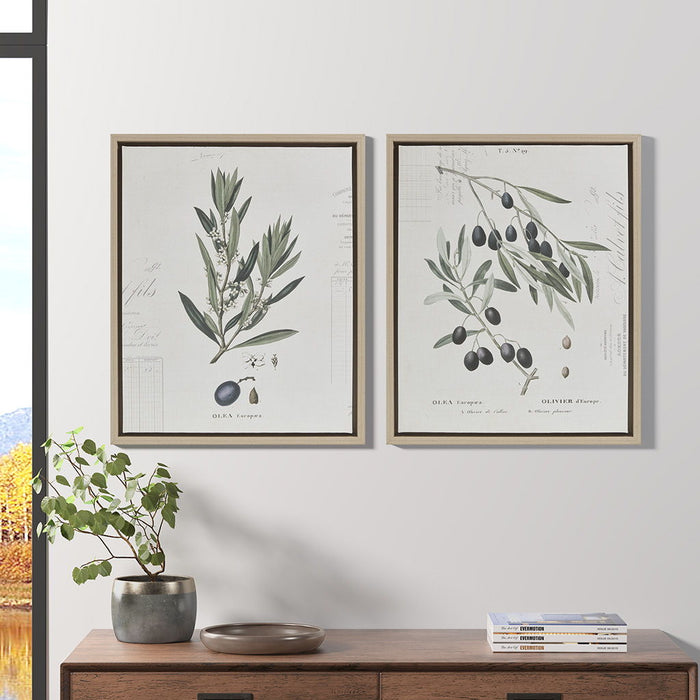 Botanical Illustration (Set of 2) Framed Canvas Wall Art Set - Neutral