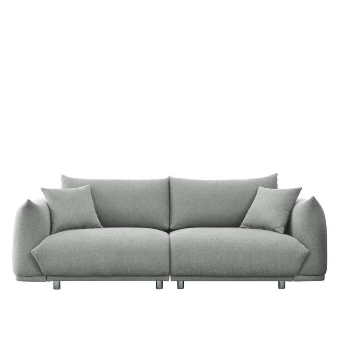 Modern Couch For Living Room Sofa, Solid Wood Frame And Stable Metal Legs, 2 Pillows, Sofa Furniture