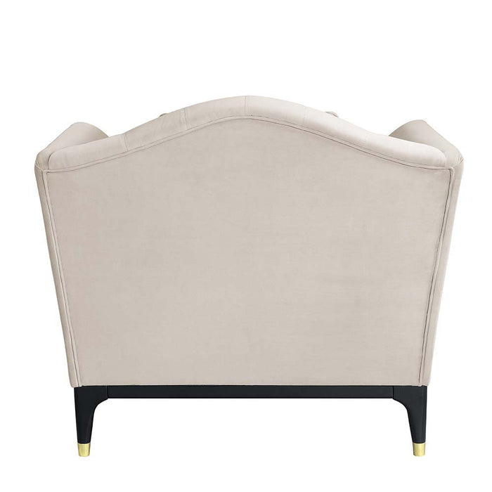 Tayden - Chair - Beige Velvet Unique Piece Furniture
