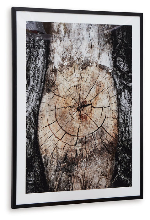 Freyburn - Wall Art - Brown / Black / White