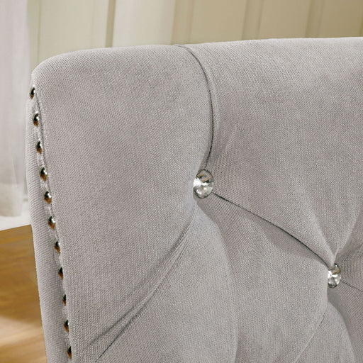 Diocles - Side Chair (Set of 2) - Silver / Gray Unique Piece Furniture
