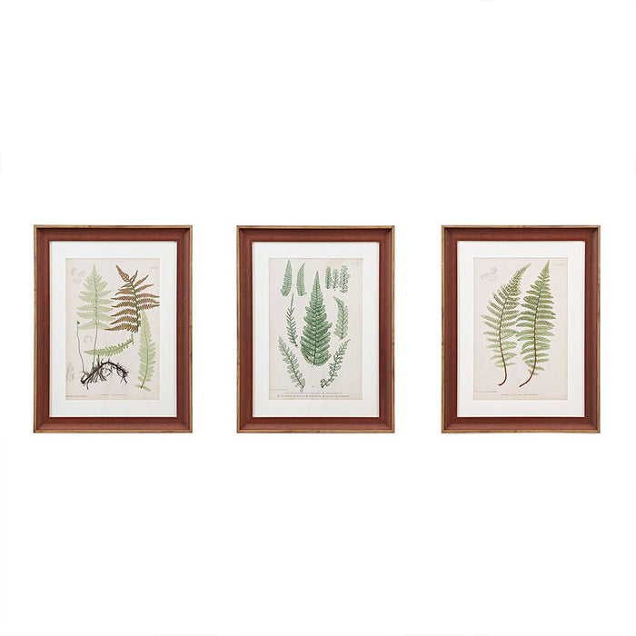 Botanical Illustration 3 Piece Framed Glass And Single Matted Wall Art Set