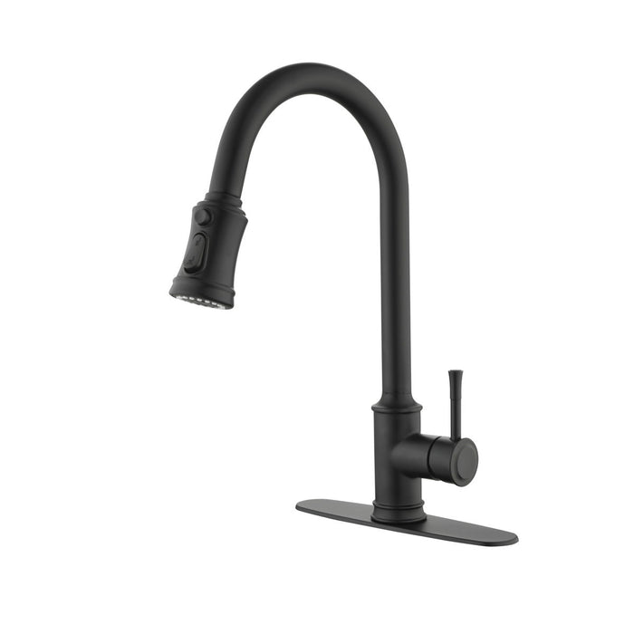 Single Handle High Arc Pull Out Kitchen Faucet, Single Level