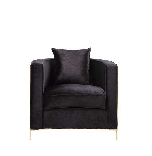 Fergal - Chair - Black Velvet & Gold Finish Unique Piece Furniture