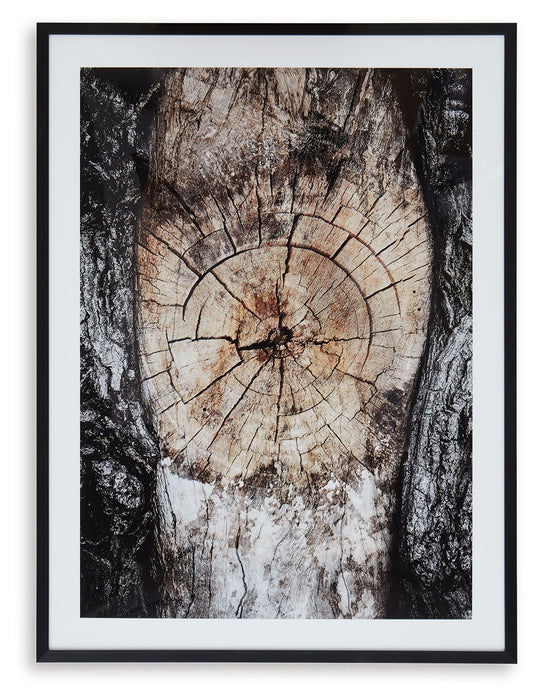 Freyburn - Wall Art - Brown / Black / White