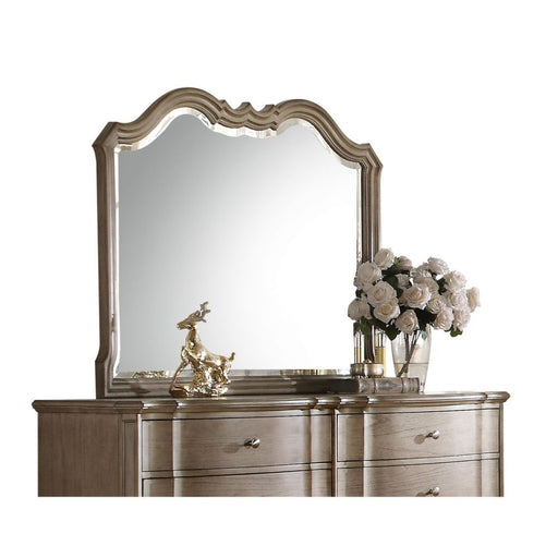 Chelmsford - Mirror - Antique Taupe Unique Piece Furniture