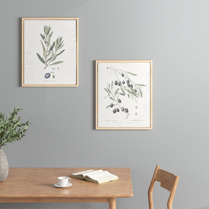 Botanical Illustration (Set of 2) Framed Canvas Wall Art Set - Neutral