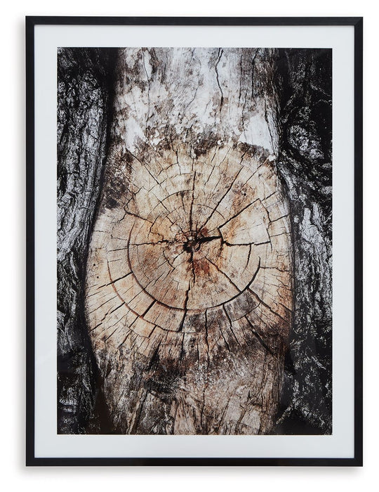 Freyburn - Wall Art - Brown / Black / White