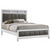 Barzini - Upholstered Panel Bed Unique Piece Furniture