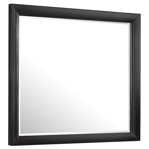Briana - Rectangle Dresser Mirror - Black Unique Piece Furniture