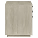 Loomis - 3-Drawer Square File Cabinet - Whitewashed Gray Unique Piece Furniture
