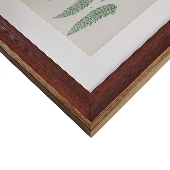 Botanical Illustration 3 Piece Framed Glass And Single Matted Wall Art Set