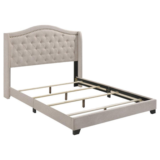 Sonoma - Headboard Bed with Nailhead Trim Unique Piece Furniture