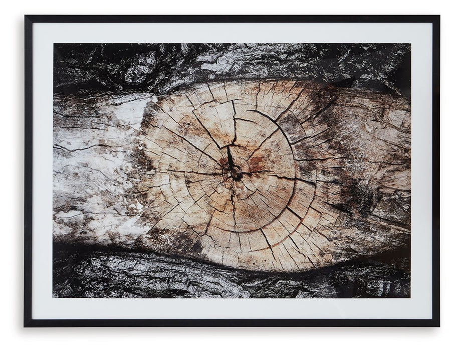 Freyburn - Wall Art - Brown / Black / White