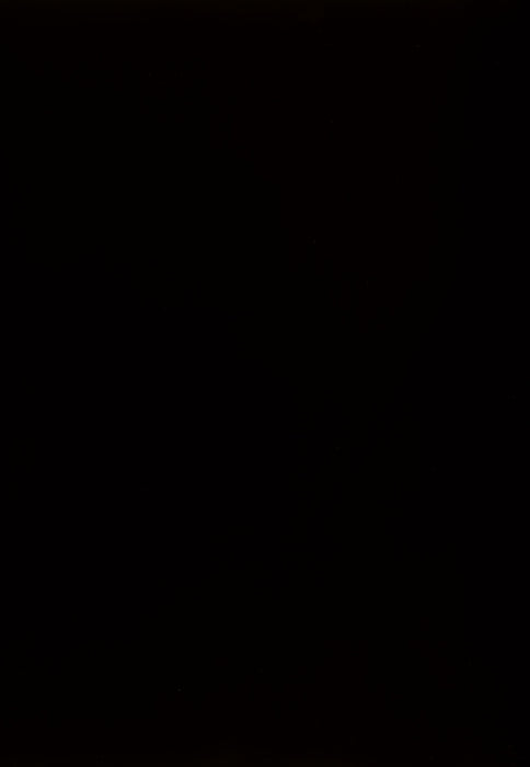 Kimonte - Dark Brown - Rectangular Dining Room Table Unique Piece Furniture